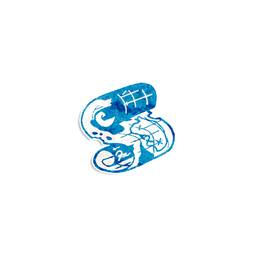 巴巴里海盗角色图标